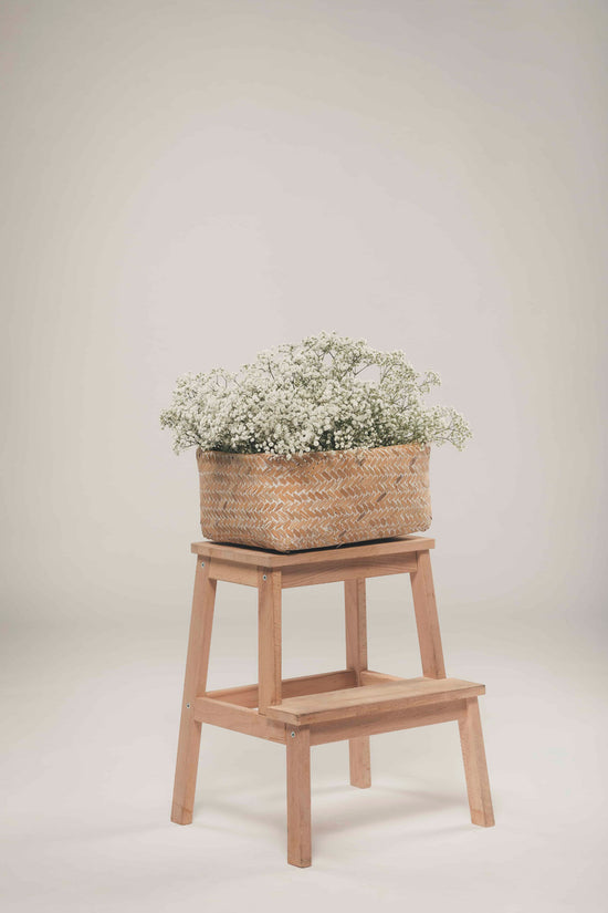 Basket of small white flowers