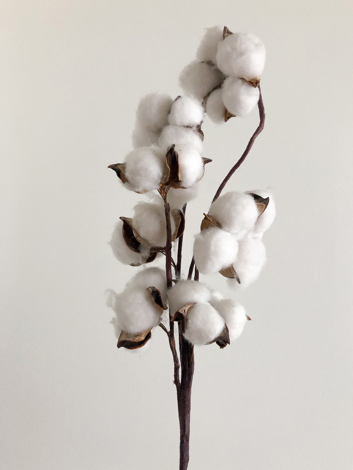 Organic cotton flowers